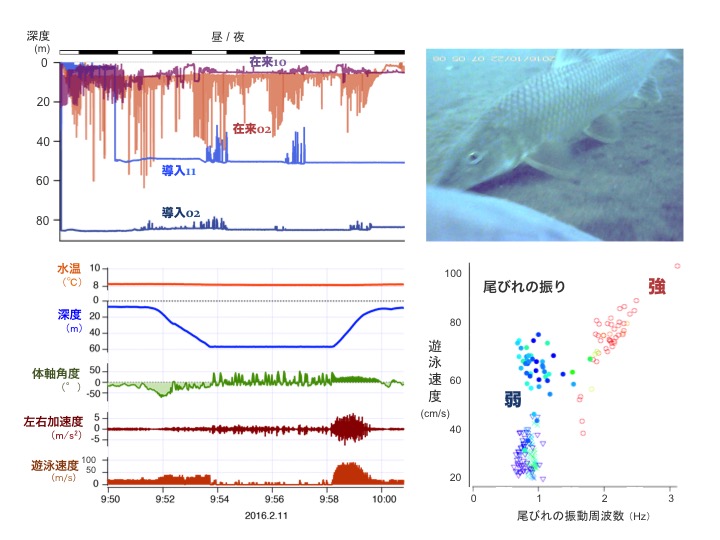 手順６の様子